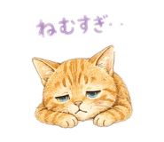 847098955