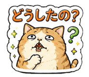 847099006