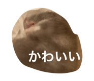 847099064