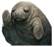 847104581