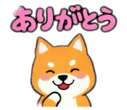 847104659