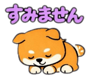 847104662