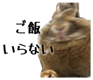 847105099