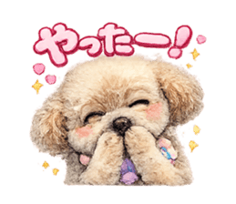 847105533