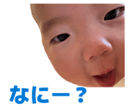 847105587