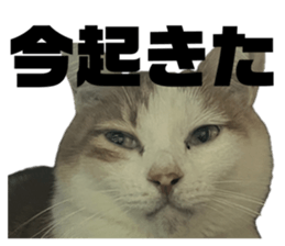 847105675
