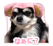 847106007