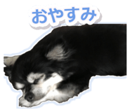847106015
