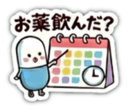 847106216