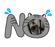 847106779