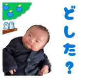 847107556