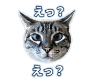847107591