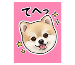 847109751