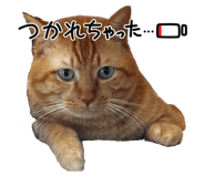 847110985