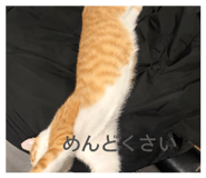 847111610