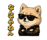 847111690