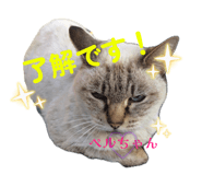 847112306