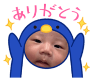 847115523