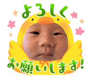 847115527