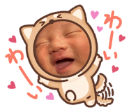 847115531