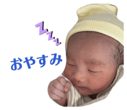 847116561