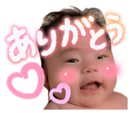 847116630