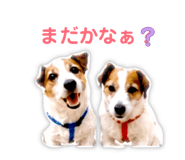 847116677