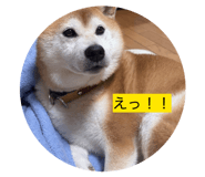 847116802