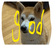 847116804