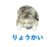 847116809