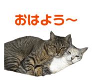 847116810