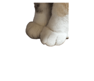 847116813