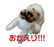 847117069