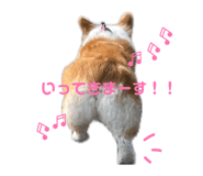 847137746