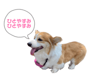 847137748