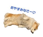 847137749