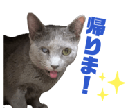 847138289