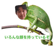 847138298