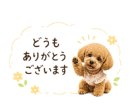 847140181