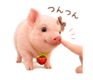 847141407