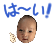 847141626