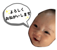 847141633