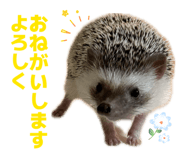 847143257