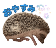 847143271