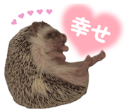 847143273