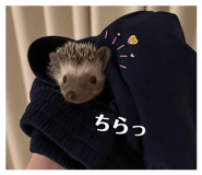 847143274