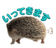 847143279