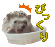 847143281