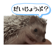 847143285