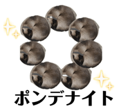 847143851